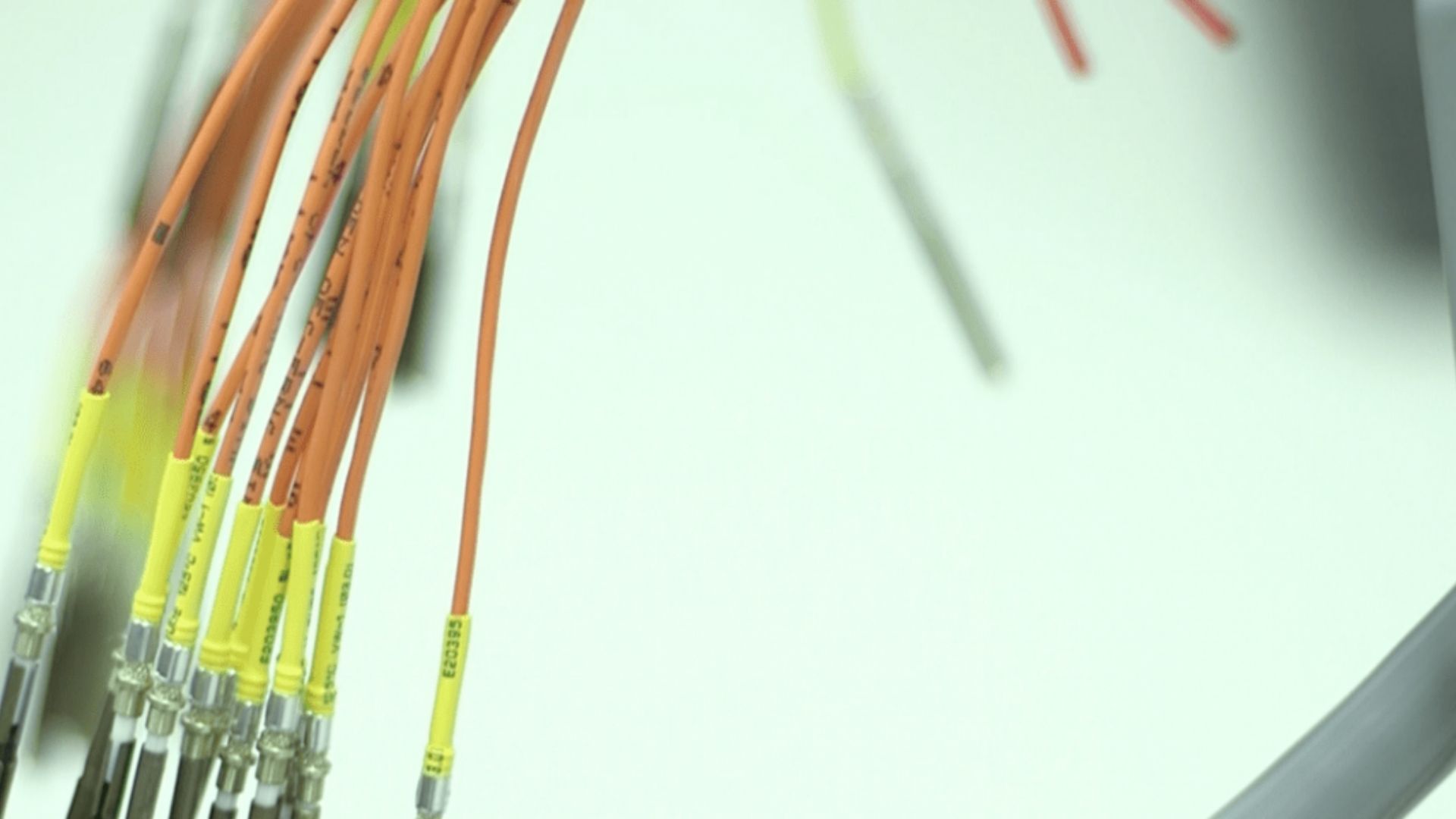 Blog Hero - Schouders.jpg